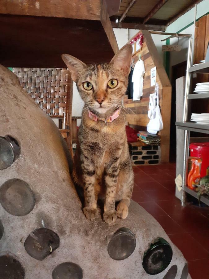 Bong'S Guesthouse M'Pai Bay Koh Rong Sanloem Zewnętrze zdjęcie